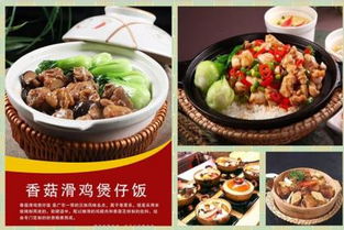 餐飲管理市場(chǎng)行情與信息發(fā)布指南